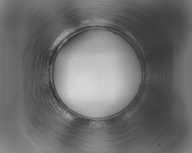 X0000076330978200610201700