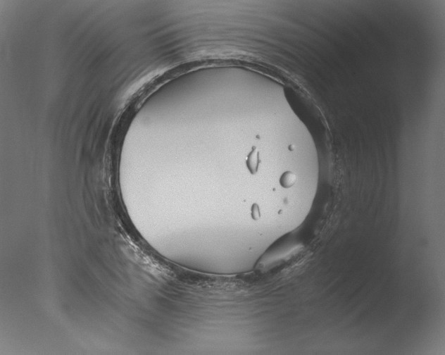 X0000076330979200610201700