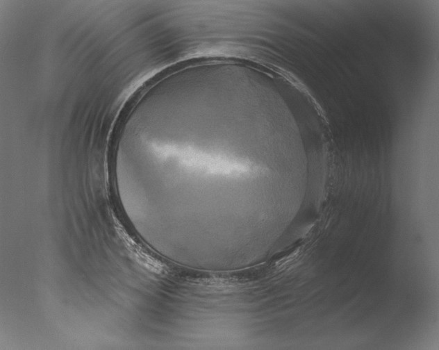 X0000076330980200610201700