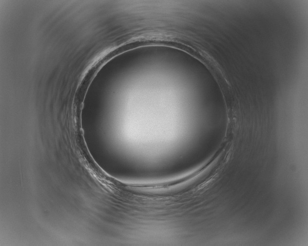 X0000076330981200610201700