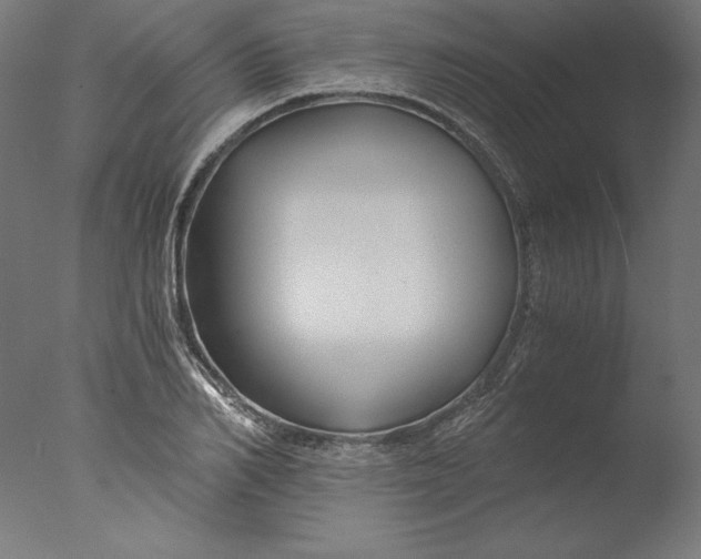 X0000076330982200610201700