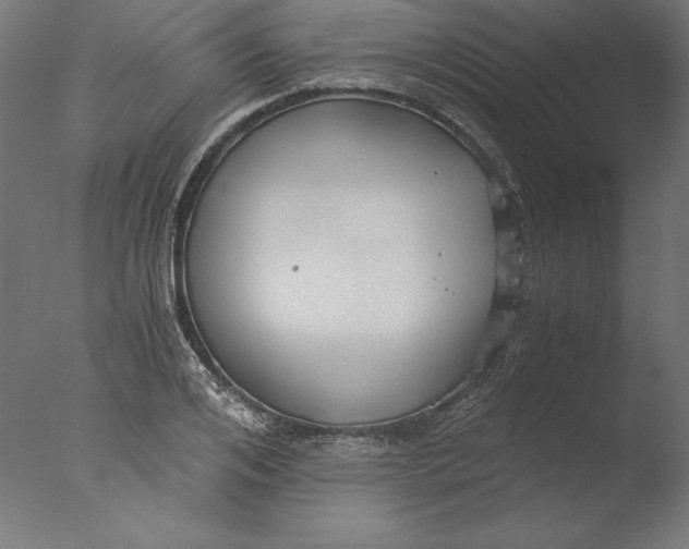 X0000076330984200610201700