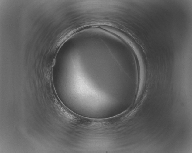 X0000076330985200610201700