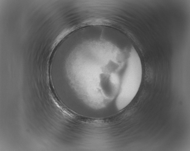 X0000076330986200610201700