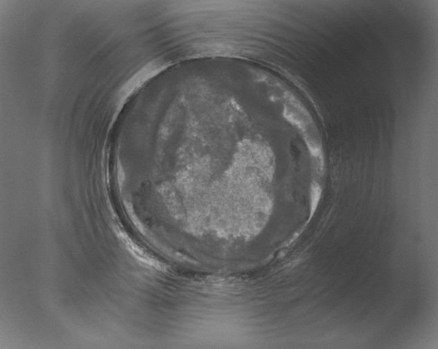 X0000076330987200610201700