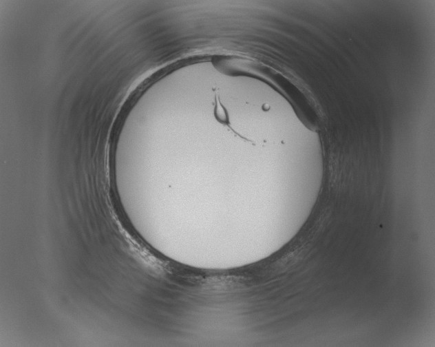 X0000076330988200610201700