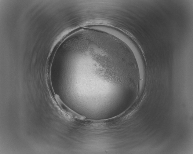 X0000076330989200610201700