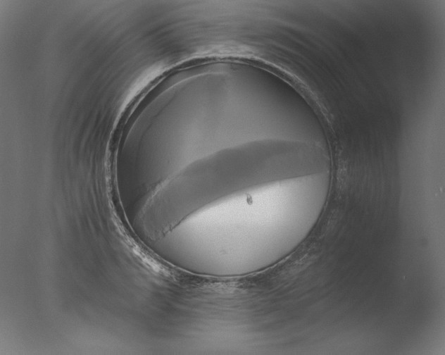 X0000076330990200610201700