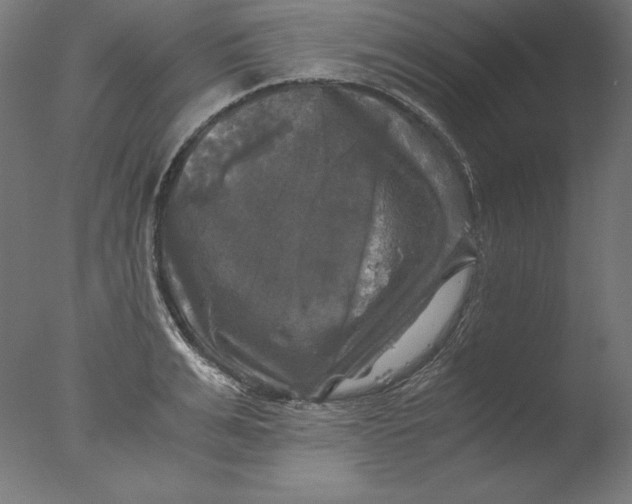 X0000076330991200610201700