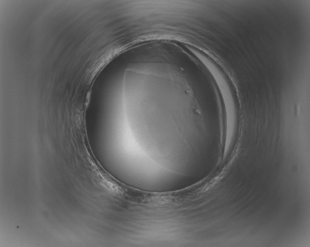 X0000076330993200610201700