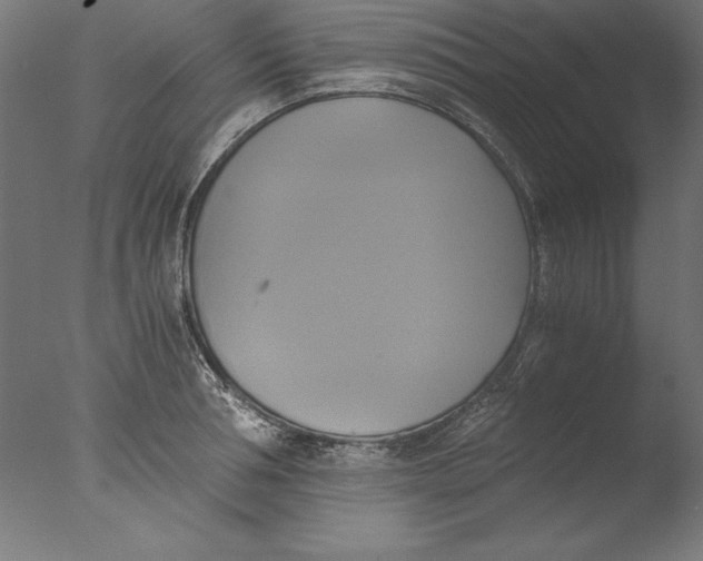 X0000076330994200610201700