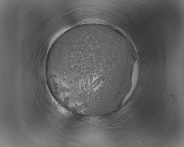 X0000076330995200610201700