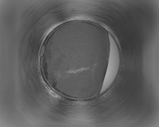 X0000076330996200610201700