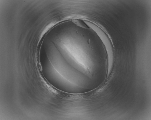 X0000076330997200610201700