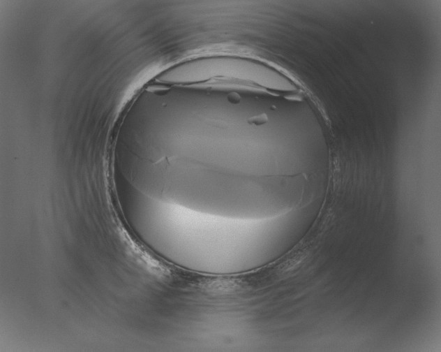 X0000076330998200610201700