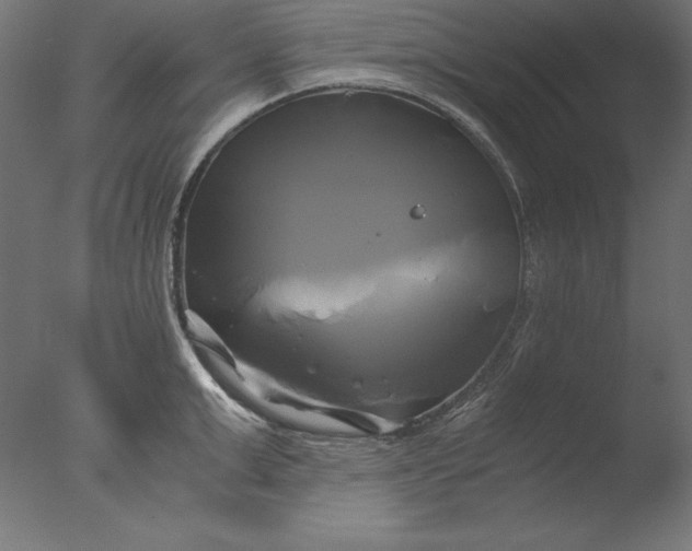 X0000076330999200610201700