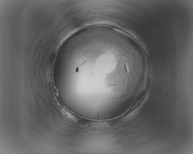 X0000076331001200610201700