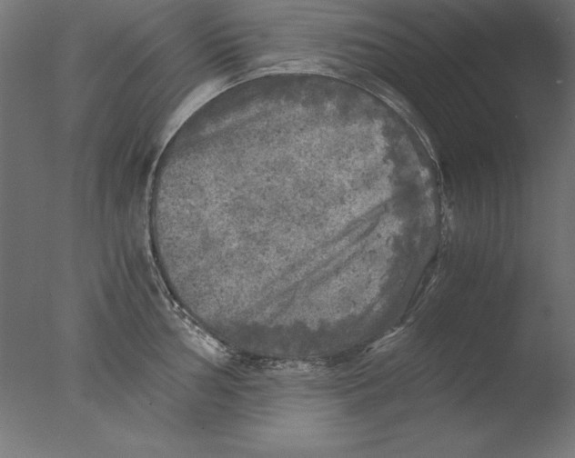 X0000076331002200610201700