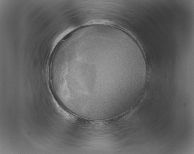 X0000076331003200610201700