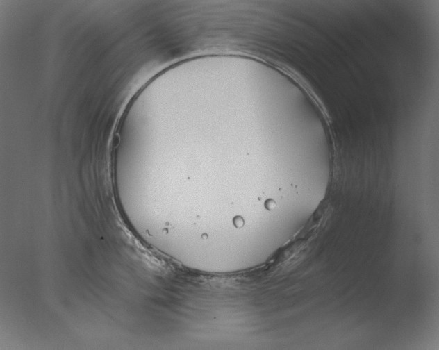 X0000076331004200610201700