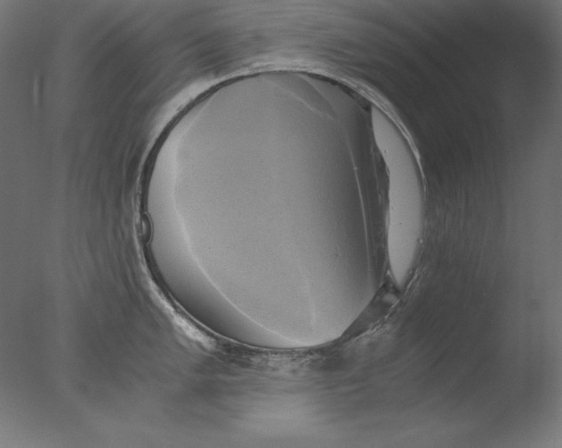 X0000076331005200610201700