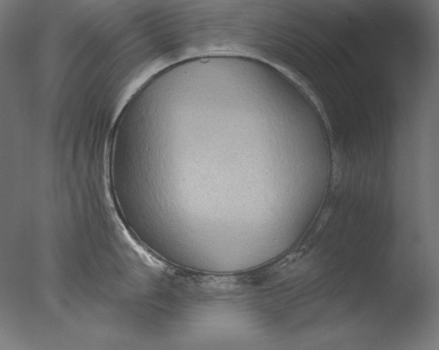 X0000076331006200610201700