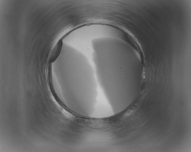 X0000076331007200610201700