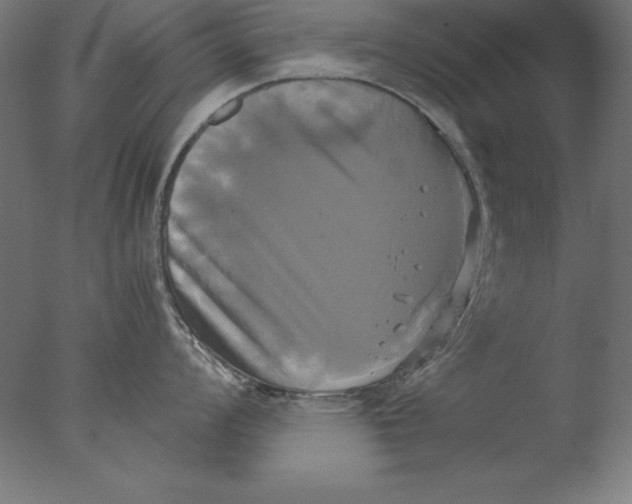 X0000076331008200610201700