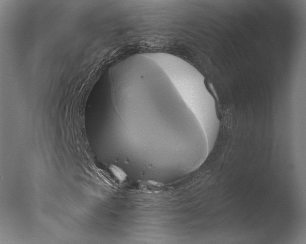 X0000076331009200610201659