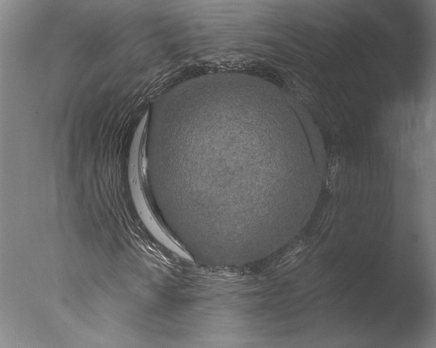 X0000076331010200610201659