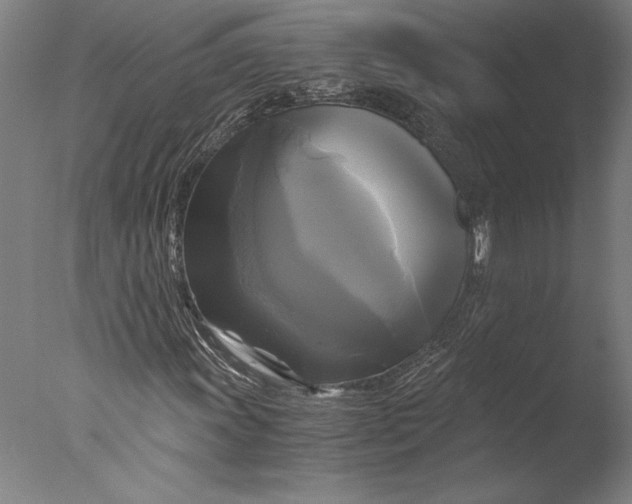 X0000076331011200610201659