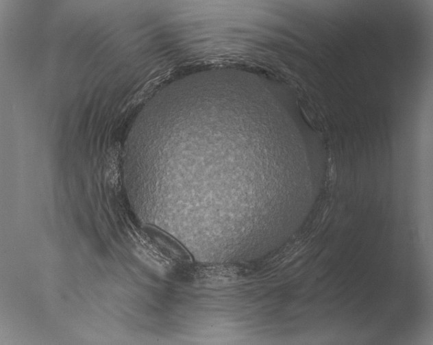 X0000076331012200610201659