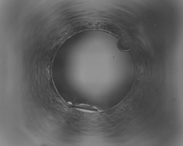 X0000076331013200610201659