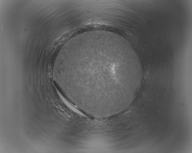 X0000076331014200610201659