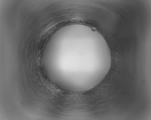 X0000076331015200610201659