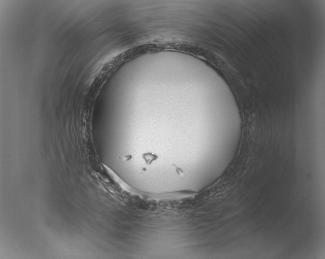 X0000076331016200610201659