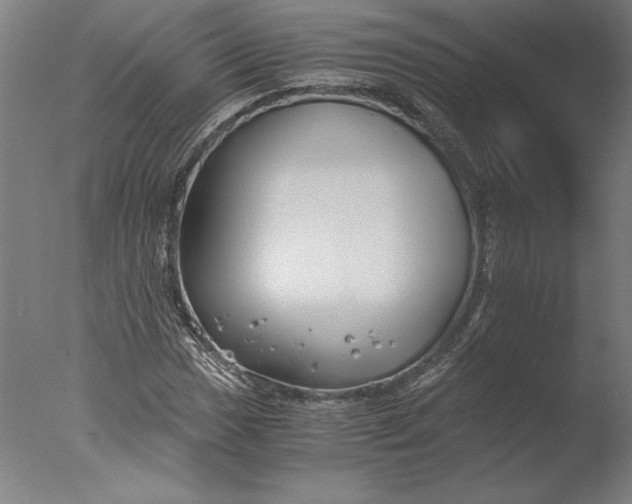 X0000076331017200610201659