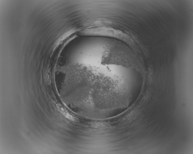 X0000076331018200610201659