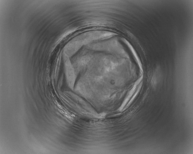 X0000076331019200610201659