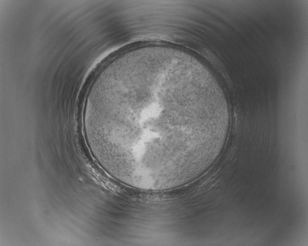 X0000076331020200610201659