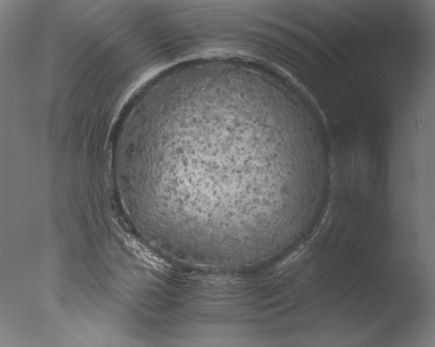 X0000076331021200610201659