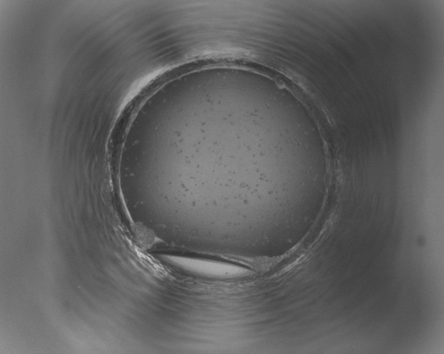 X0000076331022200610201659