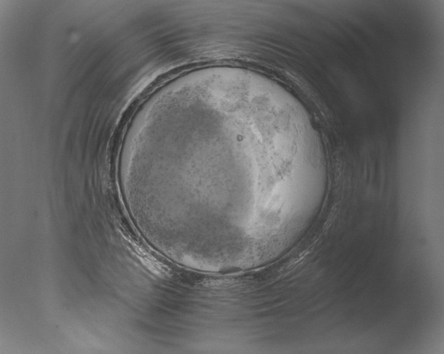 X0000076331023200610201659