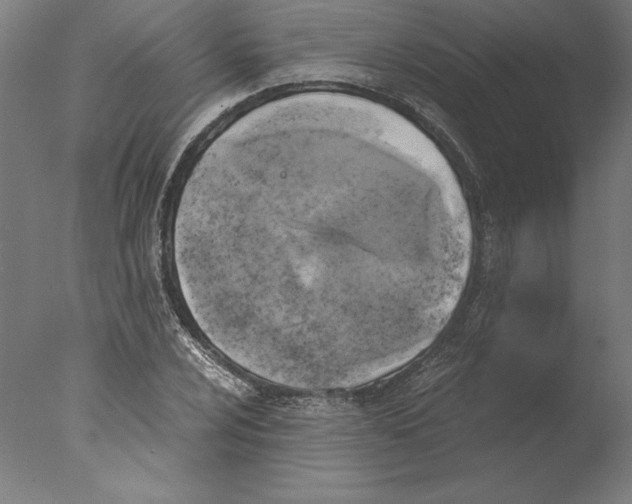 X0000076331024200610201659