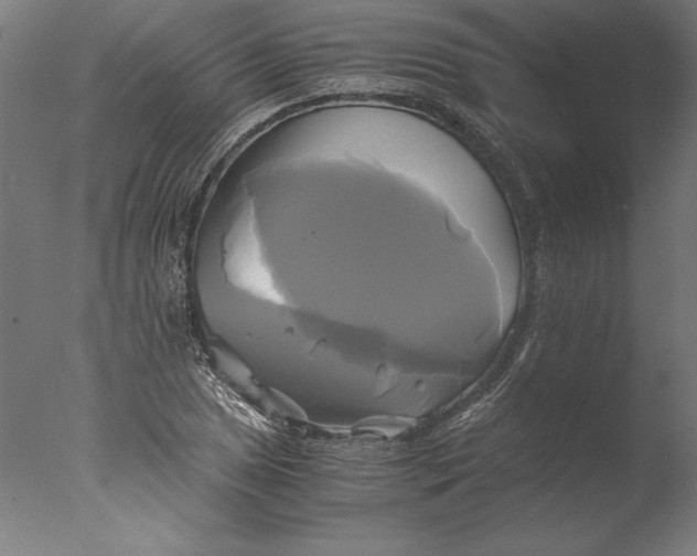 X0000076331025200610201659