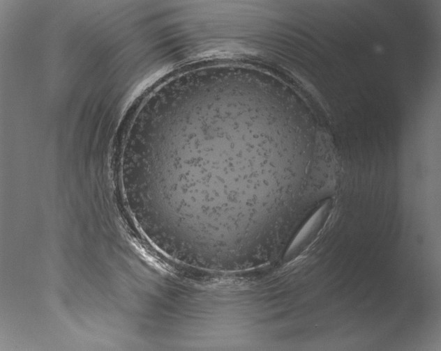 X0000076331026200610201659