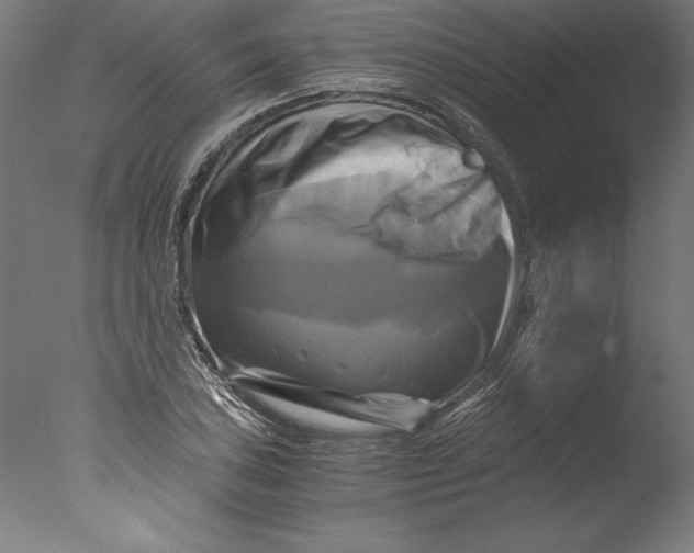 X0000076331027200610201659