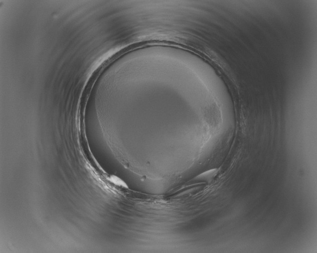 X0000076331028200610201659