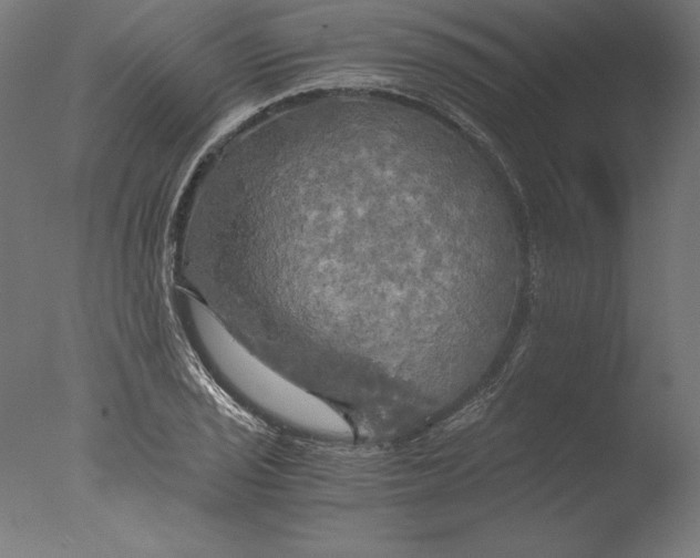 X0000076331029200610201659