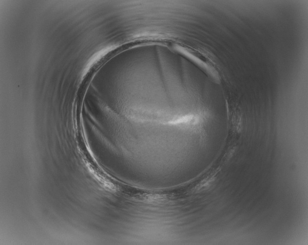 X0000076331030200610201659